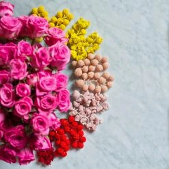 Jolley Sachin & Babi | Coconut Earrings Accessories